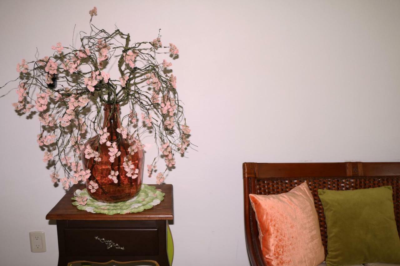 Exclusiva Villa En La Zona Hotelera De Ixtapa_Zihuatanejo Икстапа Экстерьер фото